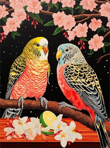 Colour Puzzle, Parrotss Birds Animal Bild Painting ，Für Erwachsene Personalisiert Herausforderung Spielzeug ，Wand Kunst Dekoration ，1000 Teile Puzzles Wn285Zk von RUIYANMQ