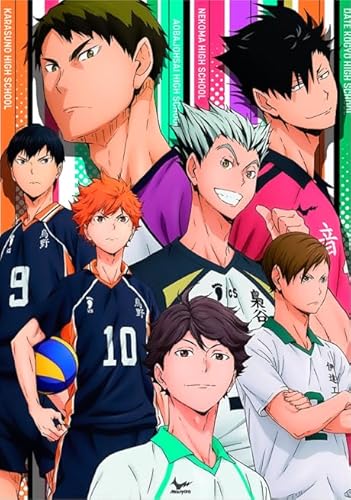 Japanese Animes Haikyuu - Puzzlas 1000 Teile - Colorful - Adults Puzzle Toys - Lernspiele Für Kinder - Challenge Tk160Zw von RUIYANMQ