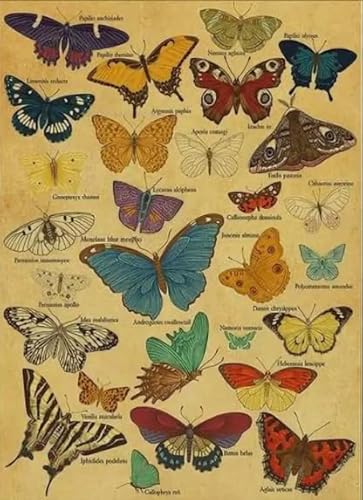 Puzzles 1000 Stück, Vintage Butterflys, Colorful Jigsaw, Irregular Art Puzzle, for Children's Toys Educational Games Posters, Memory Games Wy53Zq Puzzles 1000 Stück, Vintage Butterflys, Colorful Jigsaw, Irregular Art Puzzle, for Children's Toys Educational Games Posters, Memory Games Wy53Zq von RUIYANMQ