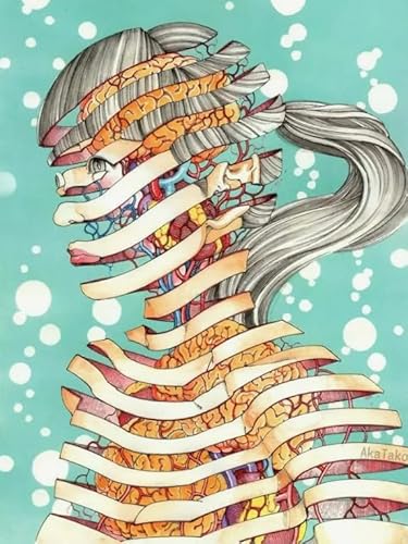 Puzzles 1000 Teile,Japanese Painting Shintaro Kagos Illustrations - Abstrakte Kunst Puzzle - Memory Spiele Für Erwachsene - Lernspielzeug Für Familien Yq58Zy von RUIYANMQ