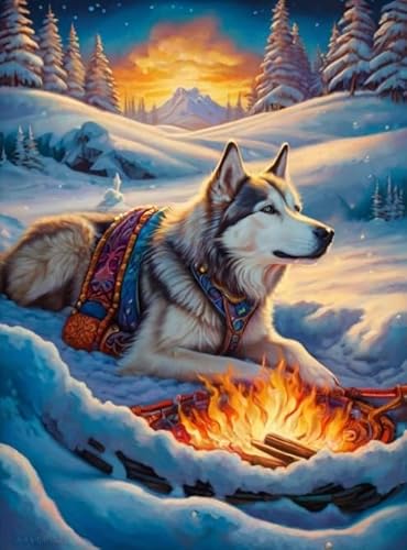 RUIYANMQ 1000 Pieces,Buntes Puzzle,Unregelmäßiges Puzzle Gifts,Colour Oil Painting,Animal Wolfs Art Posters,Adult Decompression Game,Memory Cognition Games,Dx273Zp von RUIYANMQ