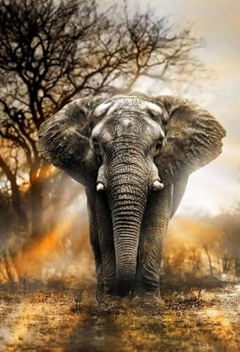 RUIYANMQ 1000 Pieces,Buntes Puzzle,Unregelmäßiges Puzzle Gifts,Irregular,Spiele Zur Stressreduzierung Für Die Ganze Familie,Animal elephantss Posters,Personalised Adult Toy,Dx276Zp von RUIYANMQ