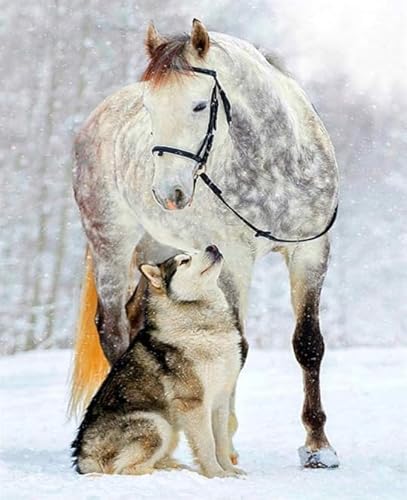 RUIYANMQ 1000 Pieces,Buntes Puzzle,Unregelmäßiges Puzzle Gifts,Irregular Pieces,Huskys Dog and Horse Posters Wall Decor,for Adults Lernspielzeug Für Die Ganze Familie,Dx304Zp von RUIYANMQ