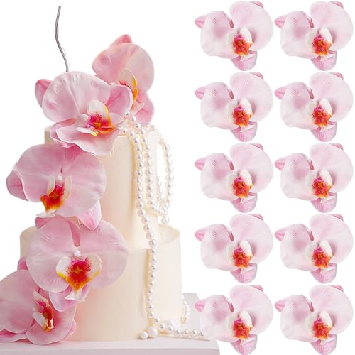 10 Stück Rosa Schmetterlings Orchideen Tortendeko Blumen Torten Deko Birthday Cake Topper Hochzeit Tortenaufleger Geburtstag Tortenstecker Hochzeit Hochzeitstorte Topper Blumen für Torte Kuchen Deko 10 Stück Rosa Schmetterlings Orchideen Tortendeko Blumen Torten Deko Birthday Cake Topper Hochzeit Tortenaufleger Geburtstag Tortenstecker Hochzeit Hochzeitstorte Topper Blumen für Torte Kuchen Deko von RUIYDZ