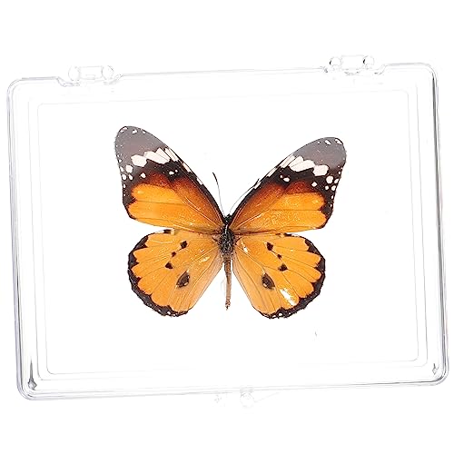 RUNROTOO Schmetterlings-exemplar Dekoratives Exemplar Schmetterlings-briefbeschwerer Exquisite Wanddekoration Probenständer Schmetterlingsmusterrahmen Plastik Kind Schreibtisch Halterung von RUNROTOO