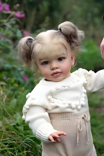 RXDOLL 66 cm Reborn Kleinkind Babypuppe Prinzessin Mädchen Realistische Neugeborene Puppe Tuch Körper Weiches Vinyl Real Looking Reborn Babypuppen Lebensechte Kleinkindpuppen Spielzeug-Set für Kinder von RXDOLL
