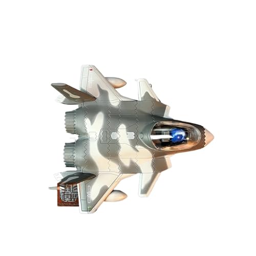 RYUEXING for Cartoon Legierung Flugzeug Modell Chinesischen Militär Flugzeug Q Serie J-20 Kämpfer Metall Modell Fertige Sammlung Ornamente von RYUEXING