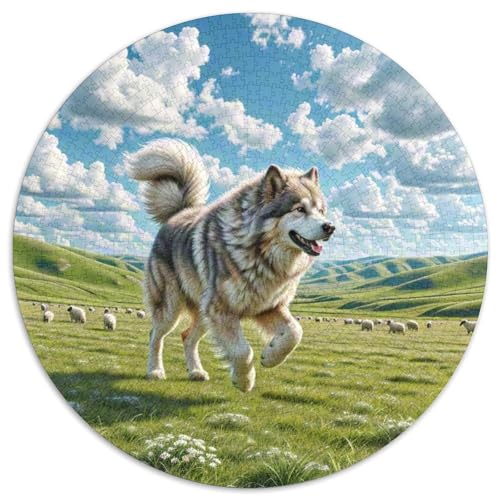 Dog 1000 Rundes Pet Puzzle Kreative Pädagogisches Stressabbau-Spielzeug Für Erwachsene 1000pcs (67.5x67.5cm) von RYVABXYAK