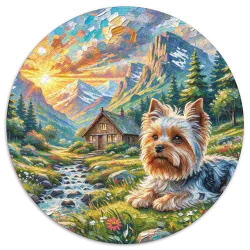 Dog 1000 Rundes Pet Puzzle Kreative Pädagogisches Stressabbau-Spielzeug Für Erwachsene Und Kinder 1000pcs (67.5x67.5cm) von RYVABXYAK