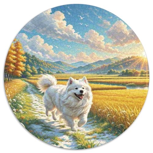 Dog 1000 Rundes Pet Puzzle Kreative Stressfreisetzung Spielzeug Für Erwachsene Und Kinder 1000pcs (67.5x67.5cm) von RYVABXYAK