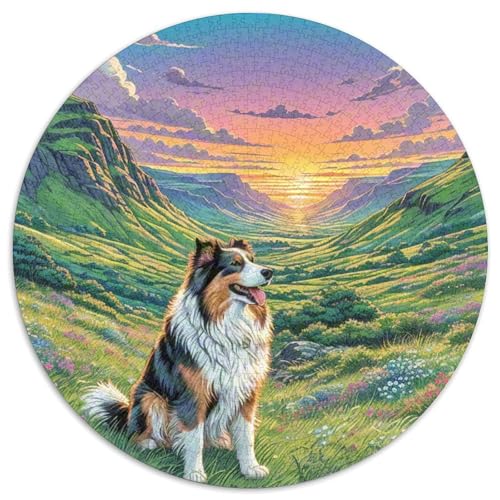 Dog 1000 Rundes Pet Puzzle Kreatives Geschenke Pädagogisches Stressabbau-Spielzeug Für Erwachsene Und Kinder 1000pcs (67.5x67.5cm) von RYVABXYAK