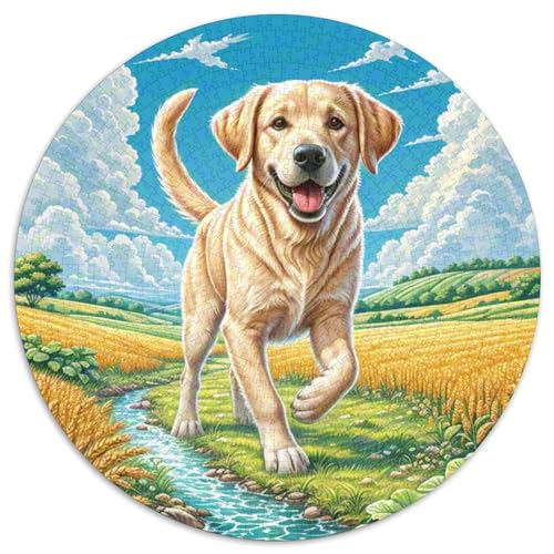 Dog 1000 Rundes Pet Puzzle Kreatives Geschenke Stressfreisetzung Spielzeug Für Erwachsene 1000pcs (67.5x67.5cm) von RYVABXYAK