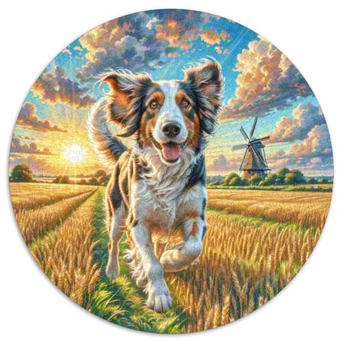 Dog 1000 Rundes Pet Puzzle Kreatives Geschenke Stressfreisetzung Spielzeug Für Erwachsene Und Kinder 1000pcs (67.5x67.5cm) von RYVABXYAK