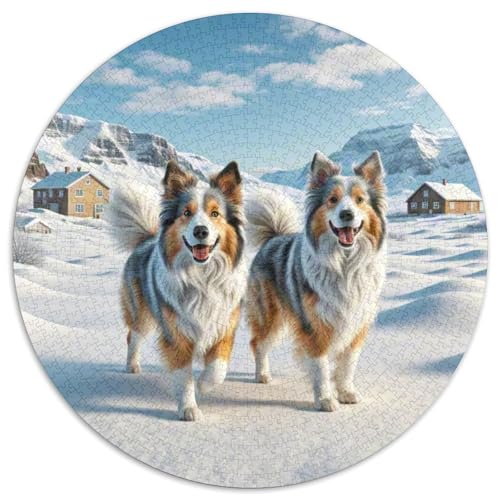 Dog 1000 Rundes Pet Puzzle Schwieriges Großes Stressfreisetzung Spielzeug Für Erwachsene 1000pcs (67.5x67.5cm) von RYVABXYAK