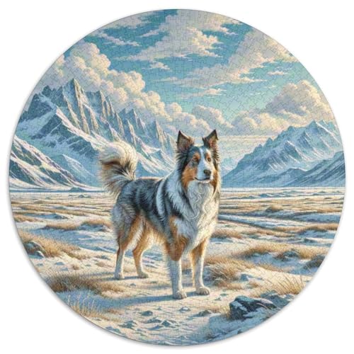 Dog 1000 Rundes Pet Puzzle Schwieriges Großes Stressfreisetzung Spielzeug Für Erwachsene 1000pcs (67.5x67.5cm) von RYVABXYAK