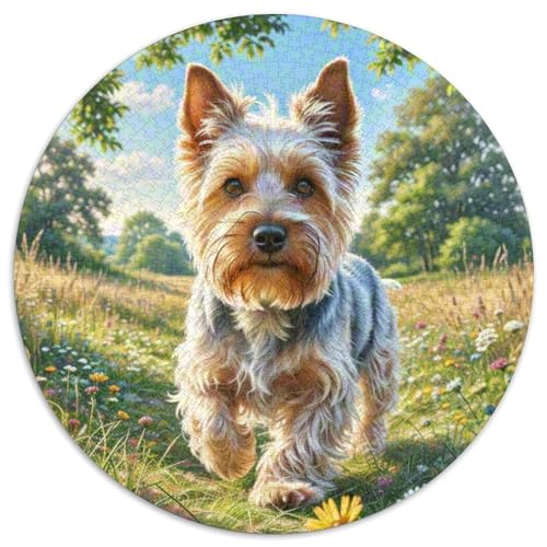 Dog 1000 Rundes Pet Rund Puzzle Kreative Stressfreisetzung Spielzeug Für Erwachsene Und Kinder 1000pcs (67.5x67.5cm) von RYVABXYAK
