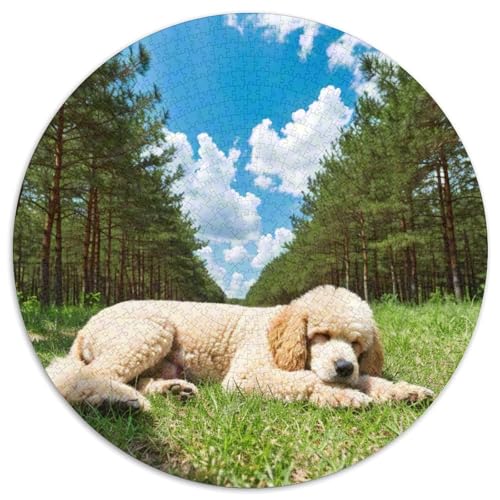 Dog 1000 Rundes Pet Rund Puzzle Schwieriges Großes Pädagogisches Stressabbau-Spielzeug Für Erwachsene 1000pcs (67.5x67.5cm) von RYVABXYAK