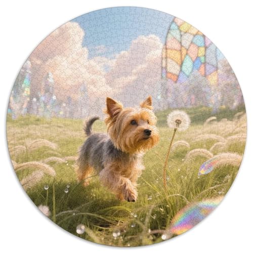 Teddy Bear Dog 1000 Rundes Dog Animal Puzzle Kreatives Geschenke Stressfreisetzung Spielzeug Für Erwachsene Und Kinder 1000pcs (67.5x67.5cm) von RYVABXYAK