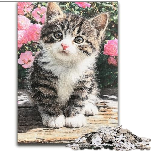 1000-teiliges Puzzle Kätzchen, Spielspielzeug, jedes Teil ist einzigartig – anspruchsvolles Familienspiel für Kinder ab 14 Jahren (Größe 50x75cm) von RZFWJL
