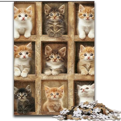 1000-teiliges Puzzle für Jugendliche und Erwachsene, Kätzchen-Collage, Lernspielzeug für Kinder ab 14 Jahren, ganze Familie (Größe 26x38cm) von RZFWJL
