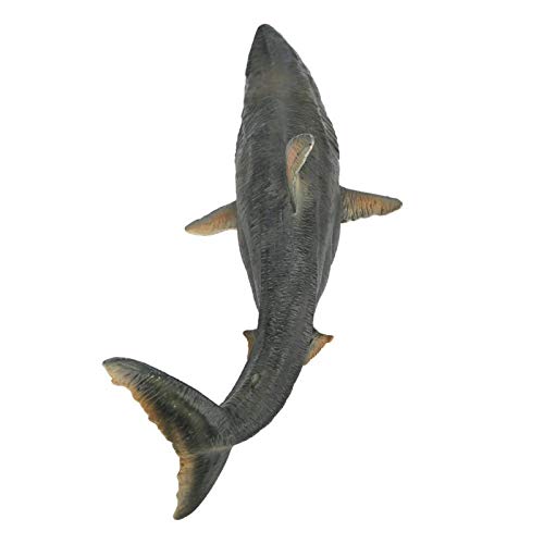 Raguso 3D-Modell von Tigerhai, realistische Hai-Verzierung Schön tolles Geschenk Großes Megalodon-Spielzeug für Wohnaccessoires-Dekor-Ornament von Raguso