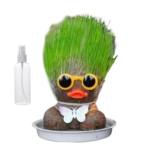 Ranley Graskopfpuppe, wachsende Graskopfpuppe,Mini -Grashead -Haare Wachsen Spielzeug - Bildungsvorräte mit Tabletts und Sprühflaschen, um Kinder zu kultivieren, die die Fähigkeit zur Gartendekoration von Ranley