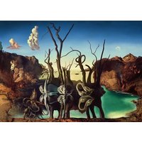 Erwachsenenpuzzle 1000 Teile - Dali von Ravensburger Verlag GmbH