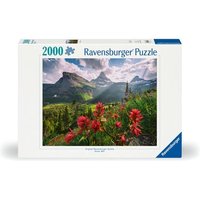 Pristine Mountains von Ravensburger Spieleverlag