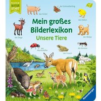 Mein großes Bilderlexikon: Unsere Tiere von Ravensburger Verlag GmbH