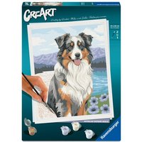 Ravensburger CreArt 12023114 - Australian Shepherd Merlin - Malen nach Zahlen ab 12 Jahren von Ravensburger Verlag GmbH