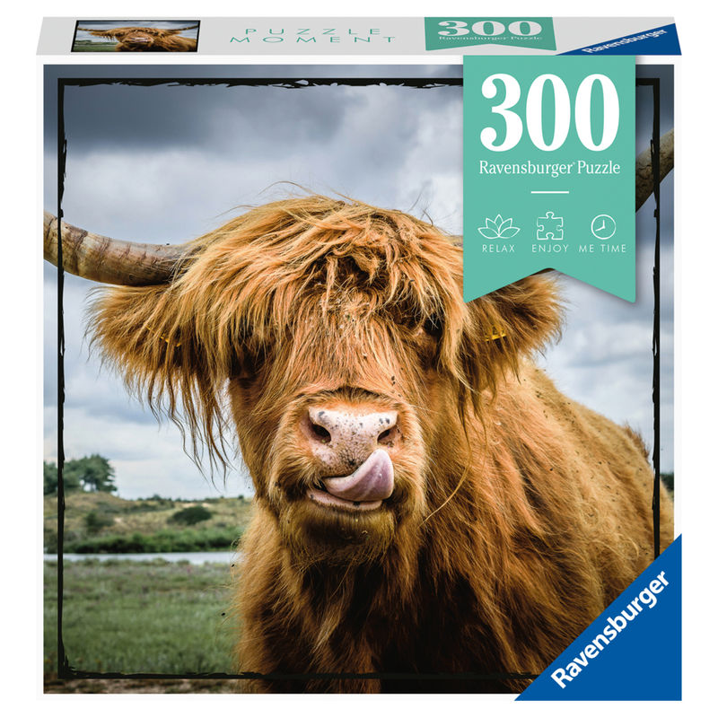 Ravensburger Puzzle Moment 13273 - Highland Cattle - 300 Teile Puzzle für Erwachsene und Kinder ab 8 Jahren von Ravensburger Verlag