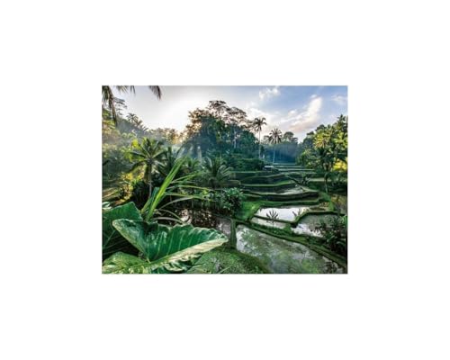 Nathan 12001518 Puzzle mit 2000 Teilen – Im Herzen von Bali – Erwachsene und Kinder ab 14 Jahren – Hochwertiges Puzzle – perfekte Integration – Kollektion Escape von Ravensburger