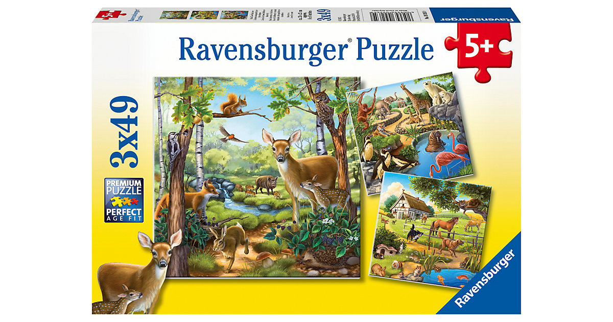 3er Set Puzzle, je 49 Teile, 21x21 cm, Wald-/Zoo-/Haustiere von Ravensburger