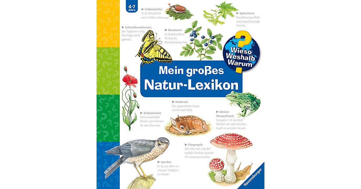 Buch - WWW Mein großes Natur-Lexikon Buch - WWW Mein großes Natur-Lexikon von Ravensburger