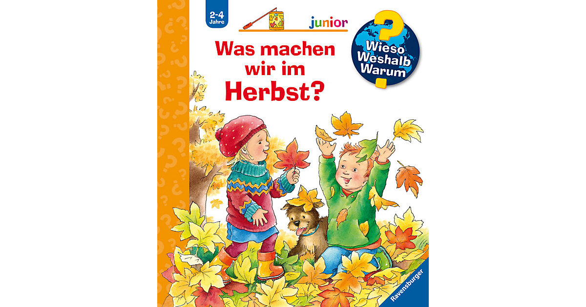 Buch - WWW junior Was machen wir im Herbst? von Ravensburger
