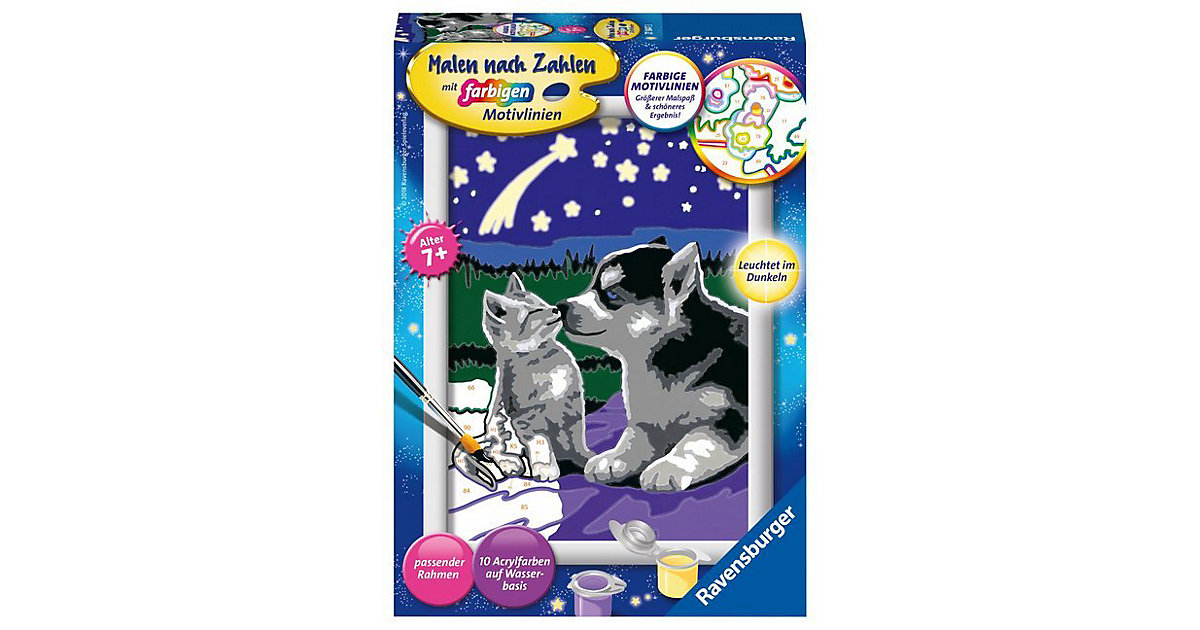 Malen nach Zahlen, 13x18 cm, mit farbigen Motivlinien, Hund und Katze Malen nach Zahlen, 13x18 cm, mit farbigen Motivlinien, Hund und Katze von Ravensburger