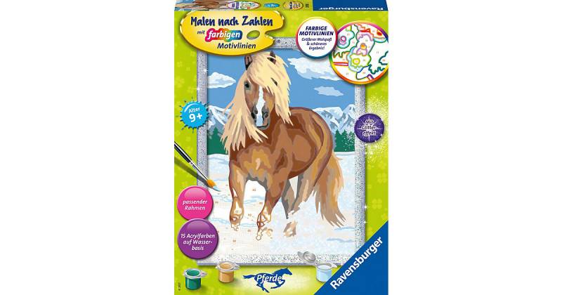 Malen nach Zahlen - Haflinger im Schnee von Ravensburger