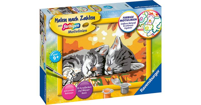 Malen nach Zahlen - Kätzchen im Herbst von Ravensburger