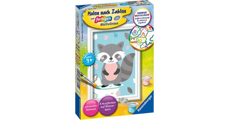 Malen nach Zahlen - Süßer Waschbär von Ravensburger