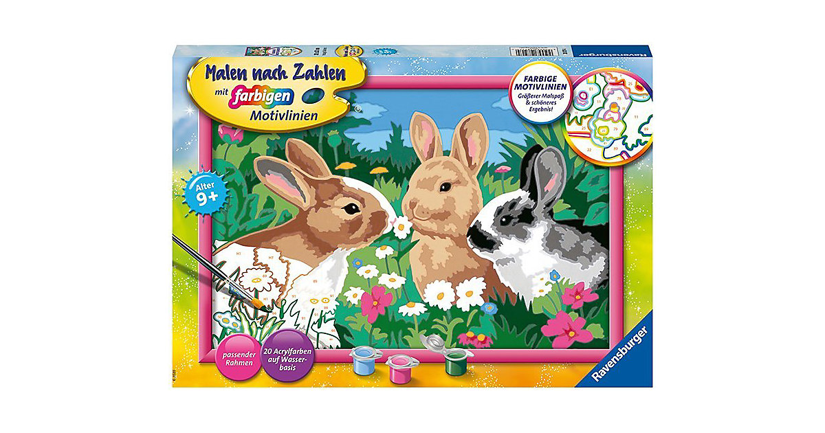 Malen nach Zahlen: Putzige Häschen, mit farbigen Motivlinien Malen nach Zahlen: Putzige Häschen, mit farbigen Motivlinien von Ravensburger