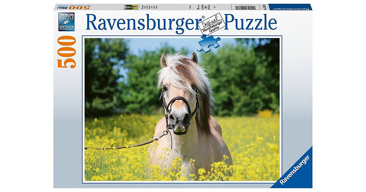 Pferd im Rapsfeld, 500 Teile von Ravensburger