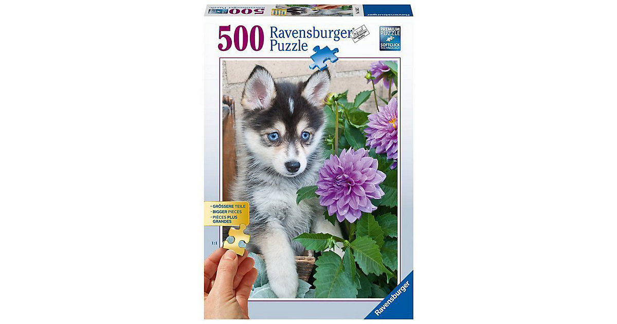 Puzzle 500 Teile, 61x46 cm, Gold Edition: größere Teile, Putziger Husky Puzzle 500 Teile, 61x46 cm, Gold Edition: größere Teile, Putziger Husky von Ravensburger