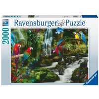 Puzzle Ravensburger Bunte Papageien im Dschungel 2000 Teile Puzzle Ravensburger Bunte Papageien im Dschungel 2000 Teile von Ravensburger