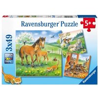 Puzzle Ravensburger Kuschelzeit 3 X 49 Teile Puzzle Ravensburger Kuschelzeit 3 X 49 Teile von Ravensburger