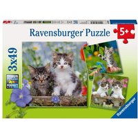 Puzzle Ravensburger Süße Samtpfötchen 3 X 49 Teile Puzzle Ravensburger Süße Samtpfötchen 3 X 49 Teile von Ravensburger