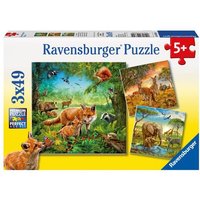 Puzzle Ravensburger Tiere der Erde 3 X 49 Teile Puzzle Ravensburger Tiere der Erde 3 X 49 Teile von Ravensburger