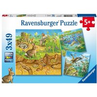 Puzzle Ravensburger Tiere in ihren Lebensräumen 3 X 49 Teile von Ravensburger