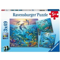 Puzzle Ravensburger Tierwelt des Ozeans 3 X 49 Teile Puzzle Ravensburger Tierwelt des Ozeans 3 X 49 Teile von Ravensburger