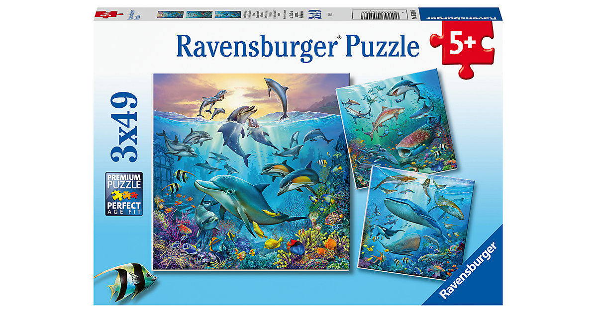 Puzzle Tierwelt des Ozeans, 3 x 49 Teile von Ravensburger