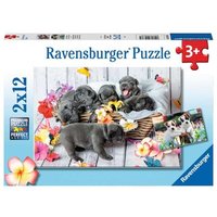 RAVENSBURGER 05636 Kinderpuzzle Kleine Fellknäuel 2x12 Teile RAVENSBURGER 05636 Kinderpuzzle Kleine Fellknäuel 2x12 Teile von Ravensburger